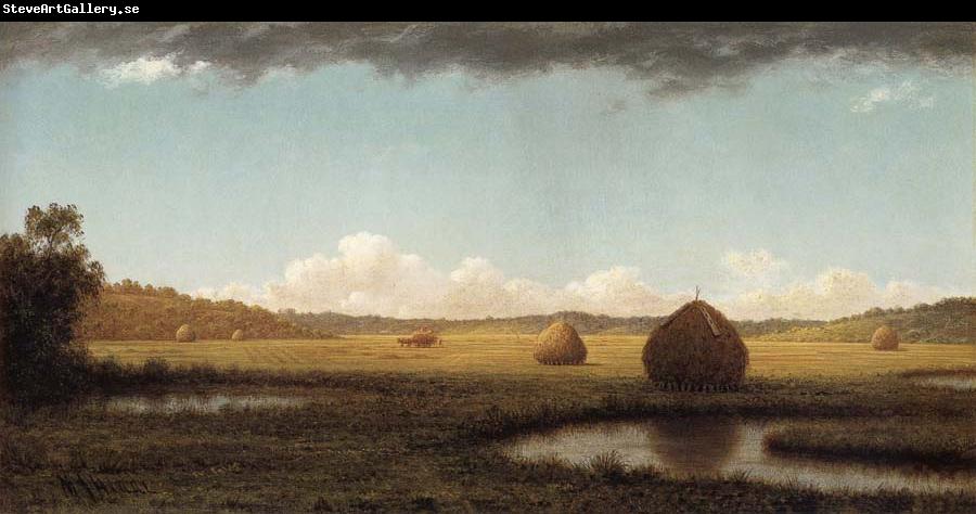 Martin Johnson Heade Summer Showers